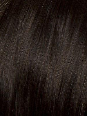 GRAND ENTRANCE *Human Hair Wig*-Women's Wigs-RAQUEL WELCH-R3HH Dark Brown-SIN CITY WIGS