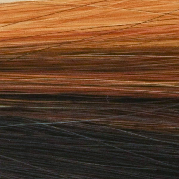CHARLOTTE-Women's Wigs-TRESSALLURE-Sunset Glow-SIN CITY WIGS