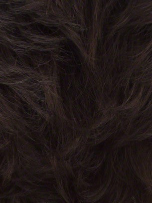 JENNIFER PETITE-Women's Wigs-LOUIS FERRE-33-SIN CITY WIGS